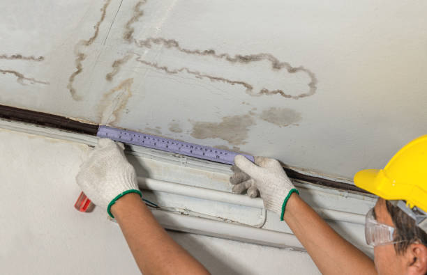 Reliable Burst Pipe Cleanup contractor in DeWitt, IA by Water Damage Irwin